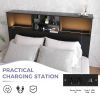 Queen size Bookcase Headboard in Black Wood Finish with LED Lights